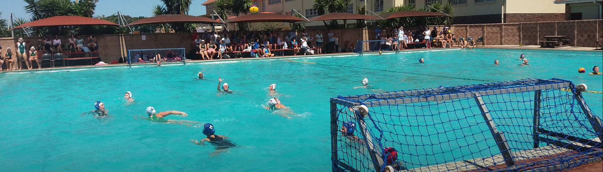 Banner Waterpolo